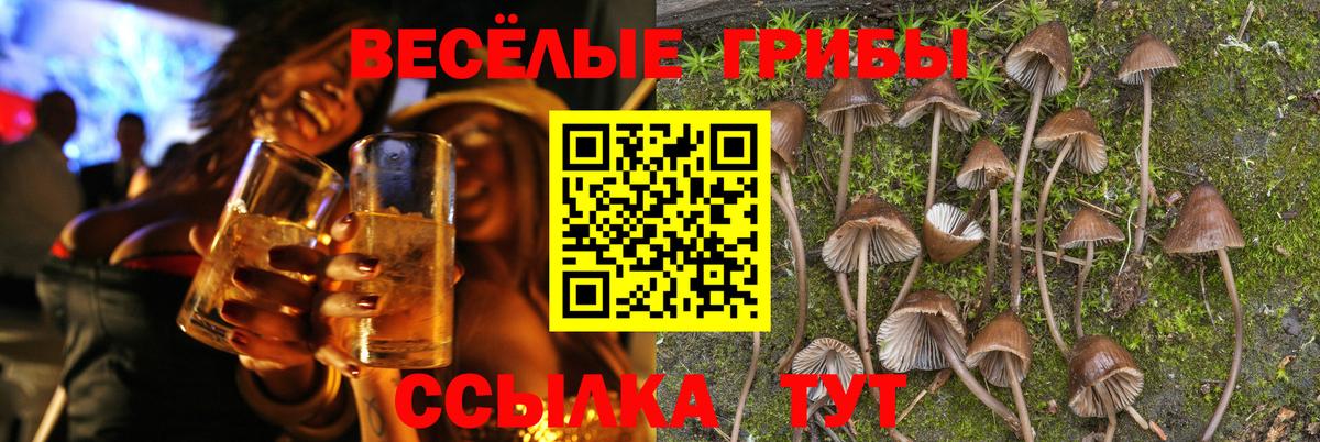 Псилоцибиновые грибы MAGIC MUSHROOMS Ступино